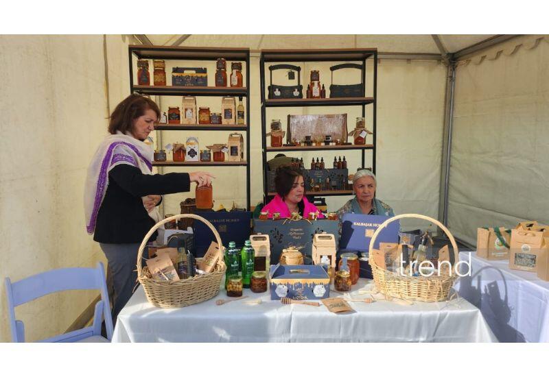 В Кяльбаджаре в рамках Дня города организована фотовыставка