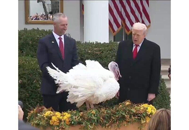 Трамп помиловал индейку на торжественной церемонии в Белом доме