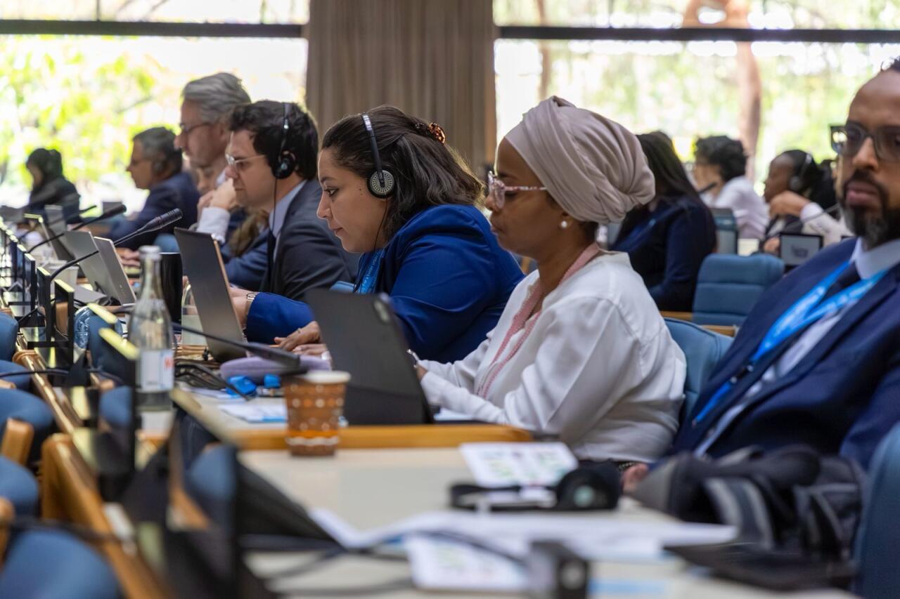 В Найроби проинформировали о подготовке к WUF13 в Баку