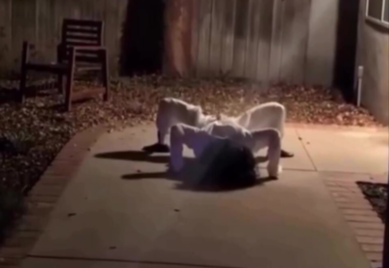 Инженер создал робота, от которого идут мурашки по коже