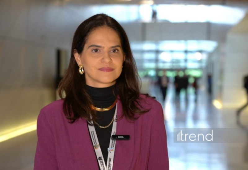 Бразилия рассматривает подписание меморандума с Азербайджаном о цифровом сотрудничестве