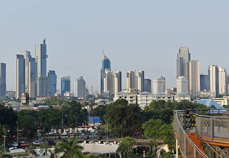 Самый густонаселённый город мира обогнал Токио