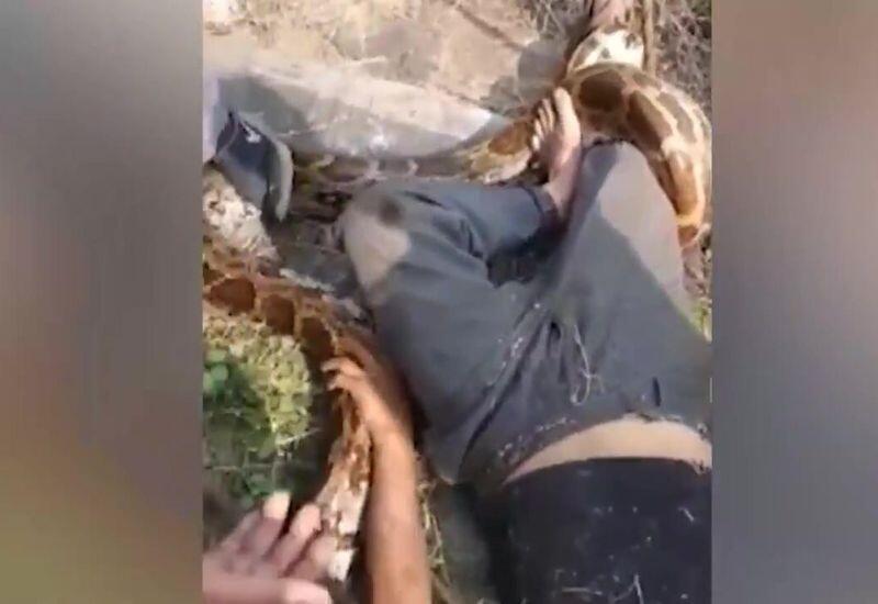 В Индии гигантский питон напал на рабочего