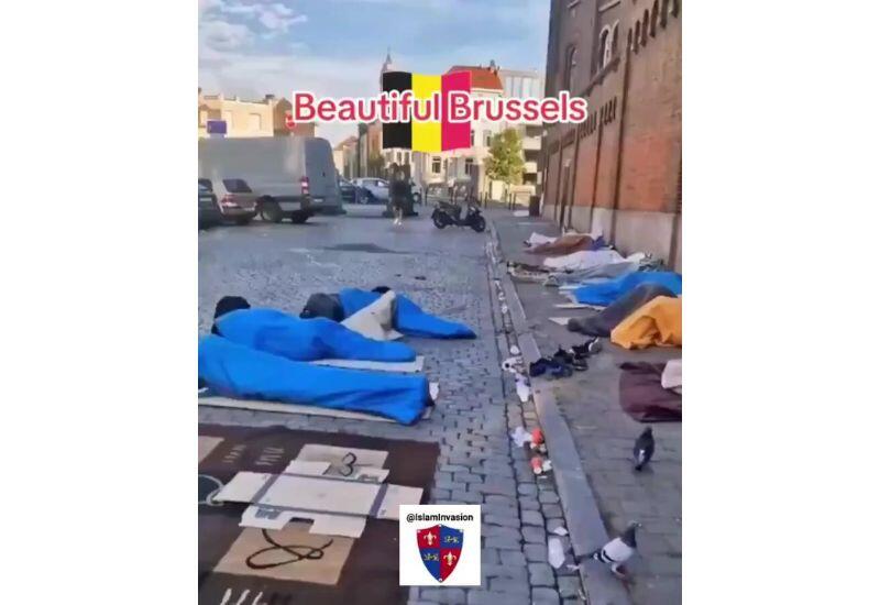 Резкое похолодание в Брюсселе ставит под угрозу тысячи бездомных