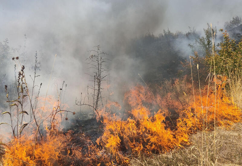 В Кяльбаджаре на открытой местности произошёл пожар