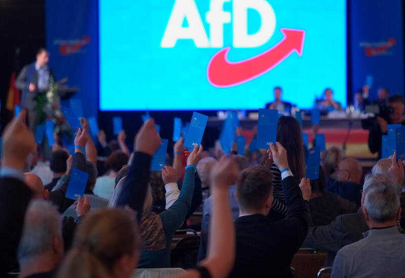 Депутата бундестага от АдГ избили