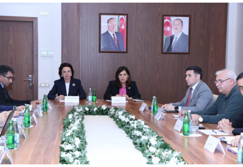 Сколько памятников внесено в госреестр Азербайджана в этом году?