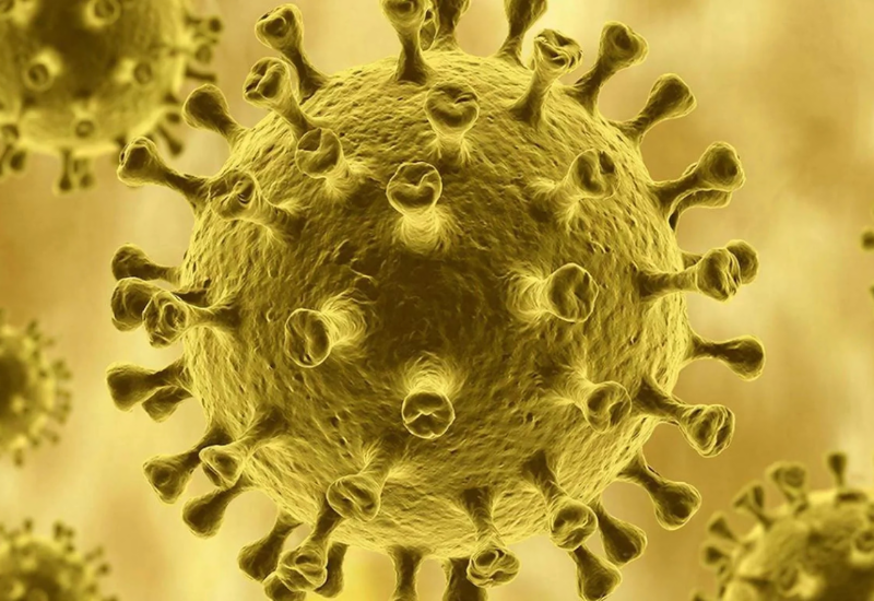 Новые 3D-изображения показали скрытую структуру желтой лихорадки