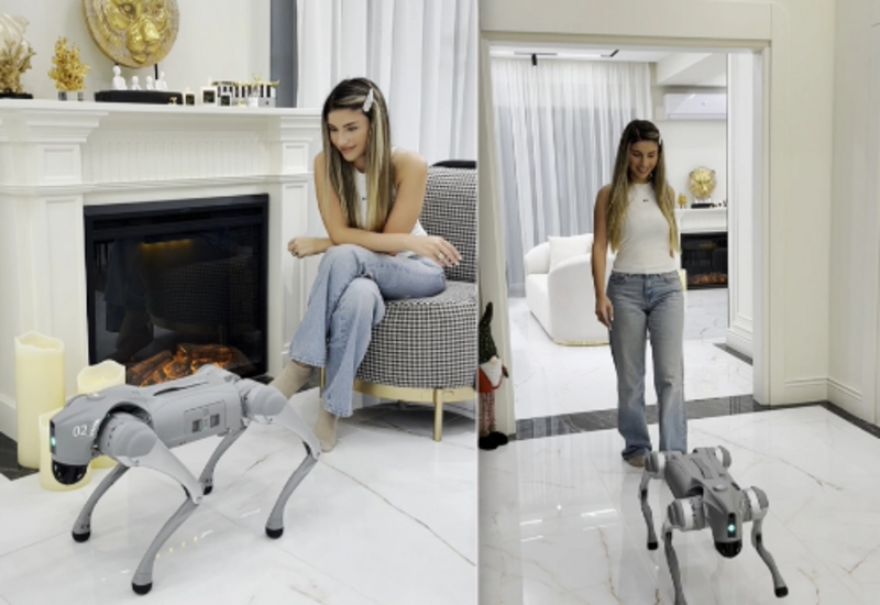 Азербайджанский блогер купила себе робота