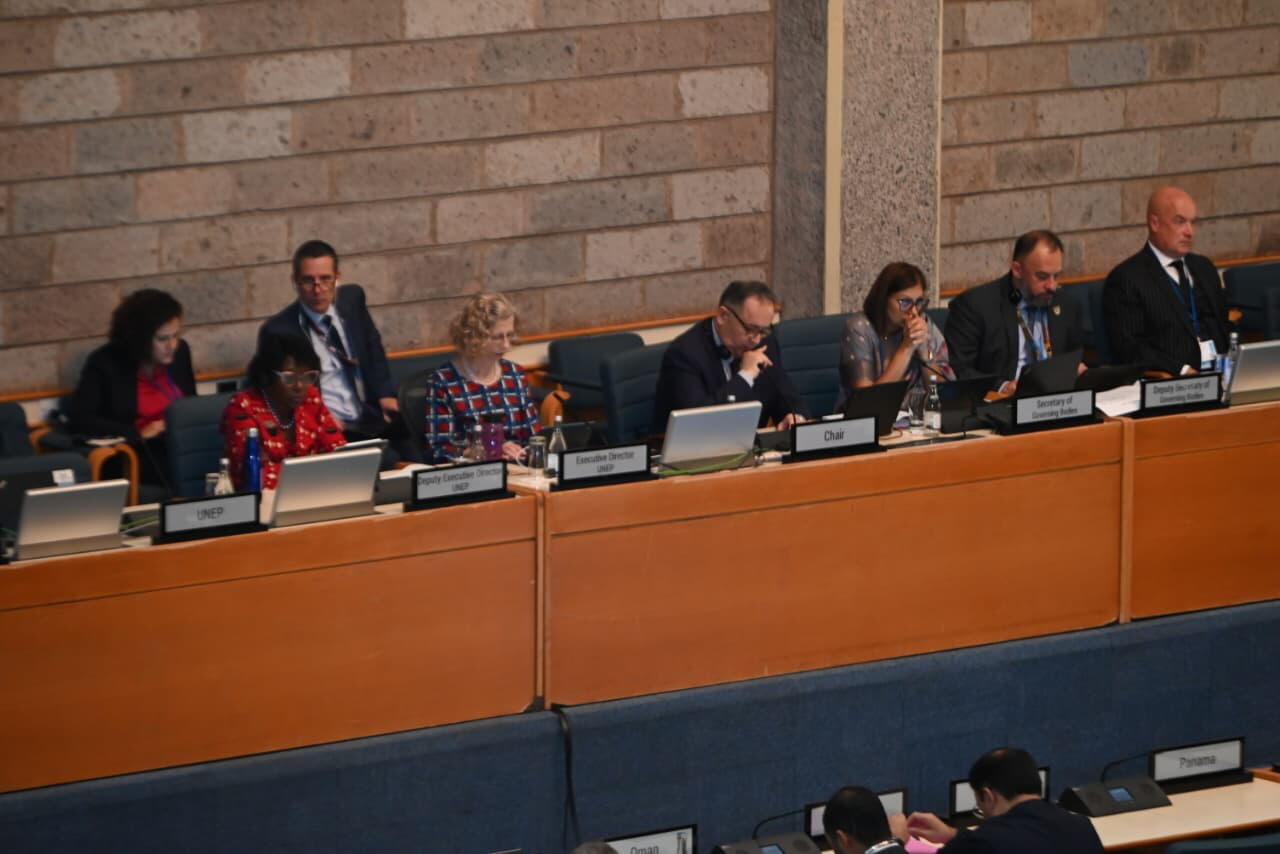 Azərbaycan BMT-nin Ətraf Mühit Proqramının Daimi Nümayəndələr Komitəsinin açıq iclasına sədrlik edir