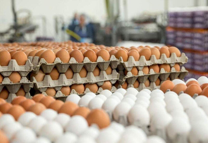 Azərbaycanda yumurtanın qiyməti bahalaşıb?