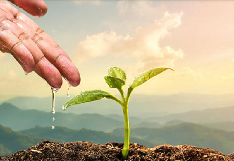 В этом городе может пройти XX Всемирный водный конгресс 2027 года