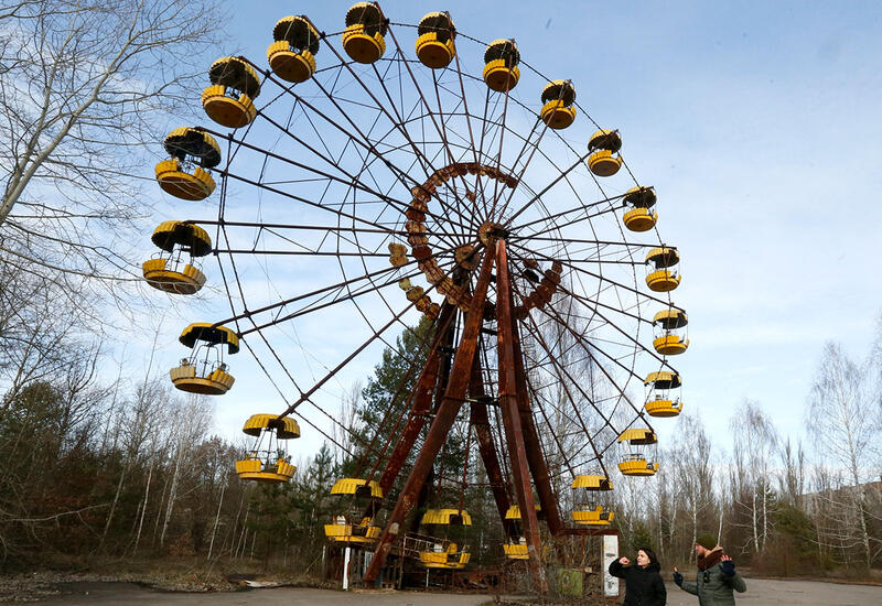 В Чернобыле обнаружили новую форму жизни