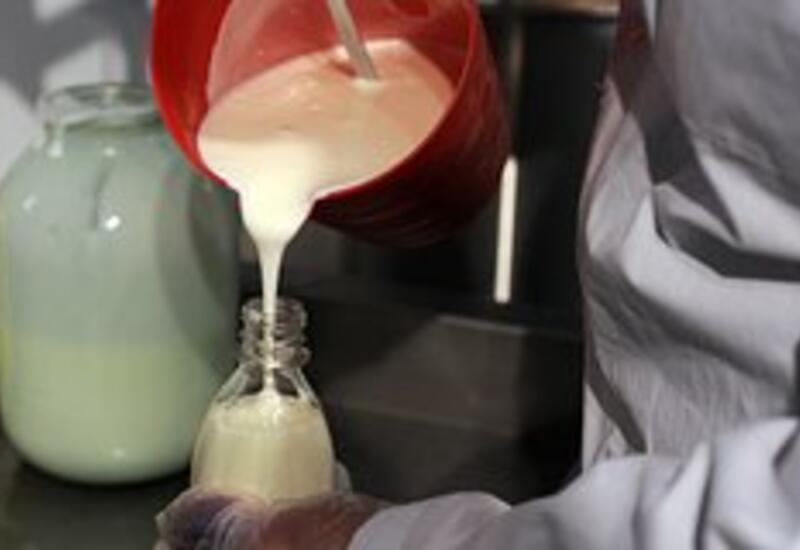 Развенчан популярный миф о защитном эффекте кефира