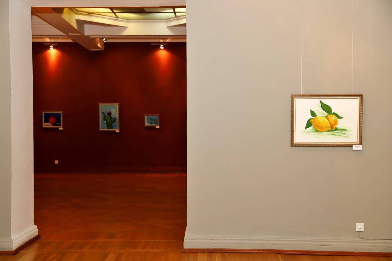 В Баку открылась экспозиция "Палитра любви" к Международному дню инвалидов