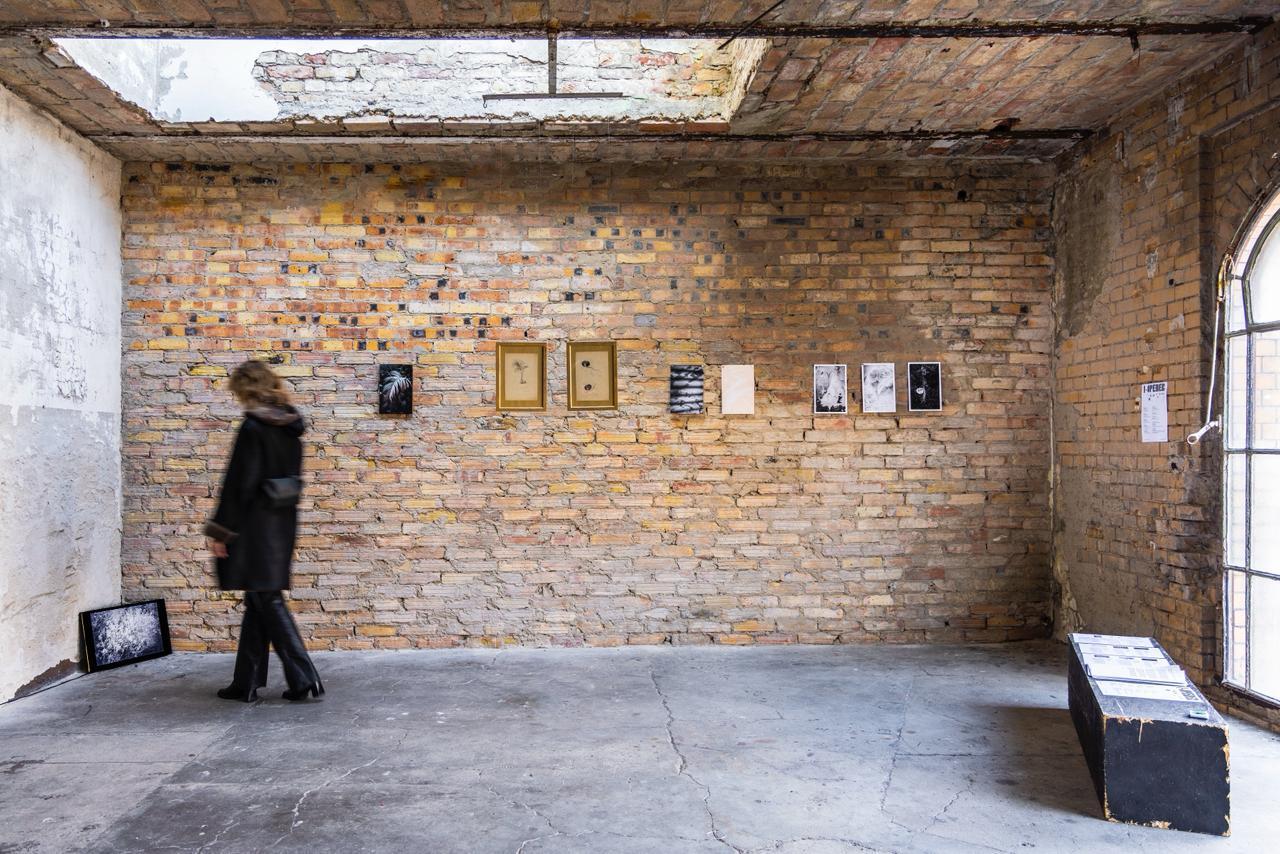 Под азербайджанским кураторством в Берлине объединили искусство, науку и экологию