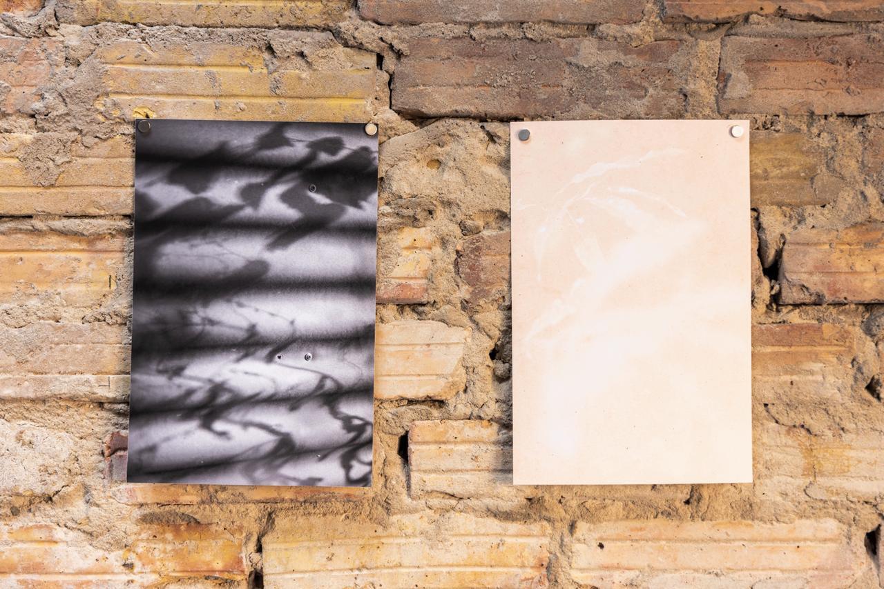 Под азербайджанским кураторством в Берлине объединили искусство, науку и экологию