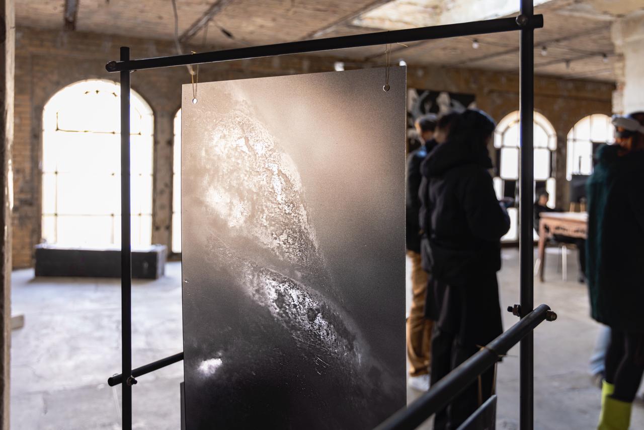 Под азербайджанским кураторством в Берлине объединили искусство, науку и экологию