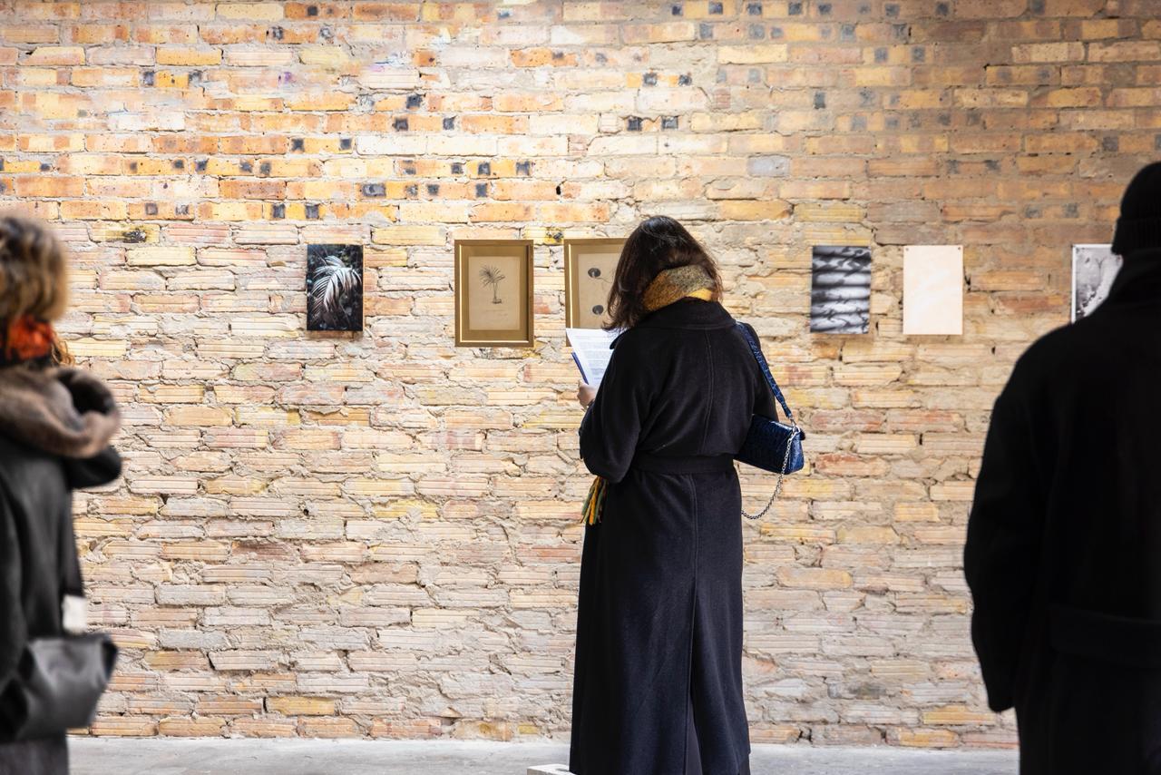 Под азербайджанским кураторством в Берлине объединили искусство, науку и экологию