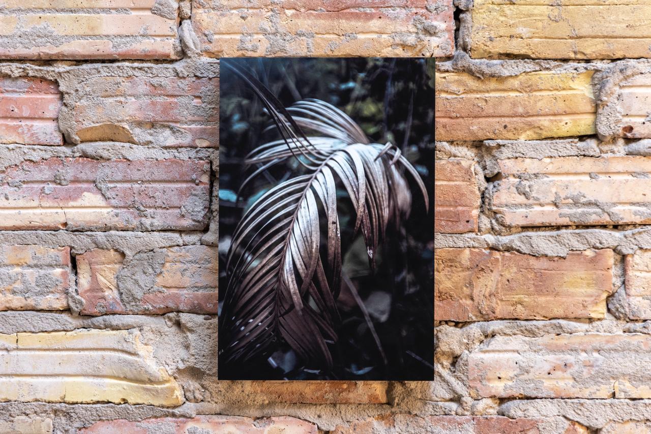 Под азербайджанским кураторством в Берлине объединили искусство, науку и экологию