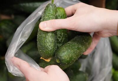 Диетолог раскритиковал новую «планетарную диету»