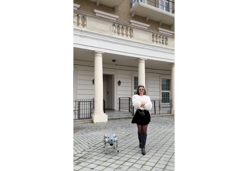 Азербайджанская блогерша "прогулялась" с робопсом по городу