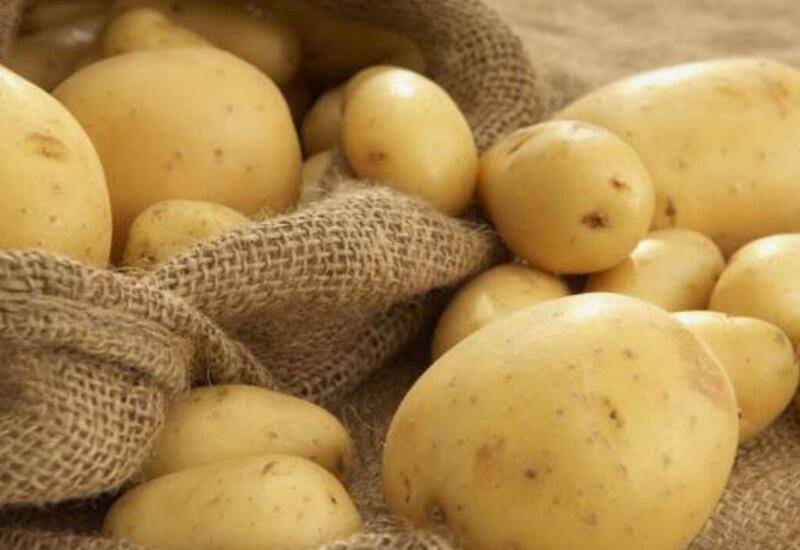 B6 vitaminli super qida