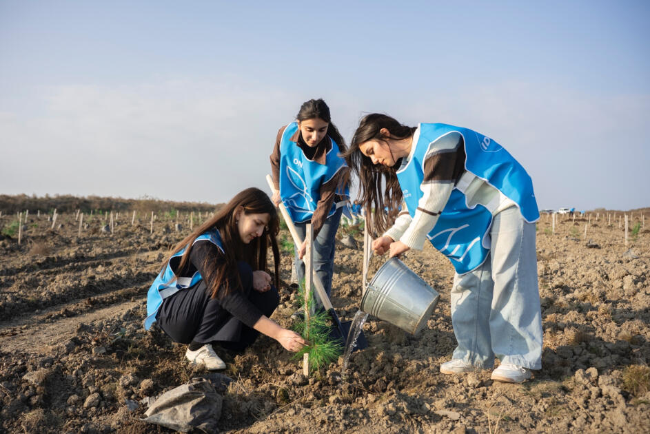 IDEA организовала очередные акции по посадке деревьев в Хачмазе и Шабране