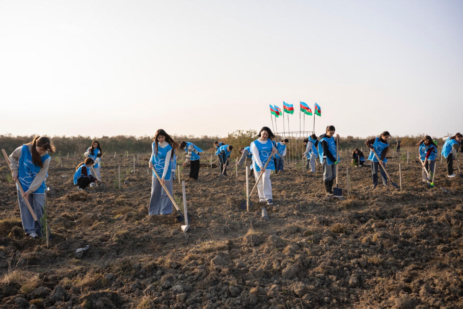 IDEA организовала очередные акции по посадке деревьев в Хачмазе и Шабране