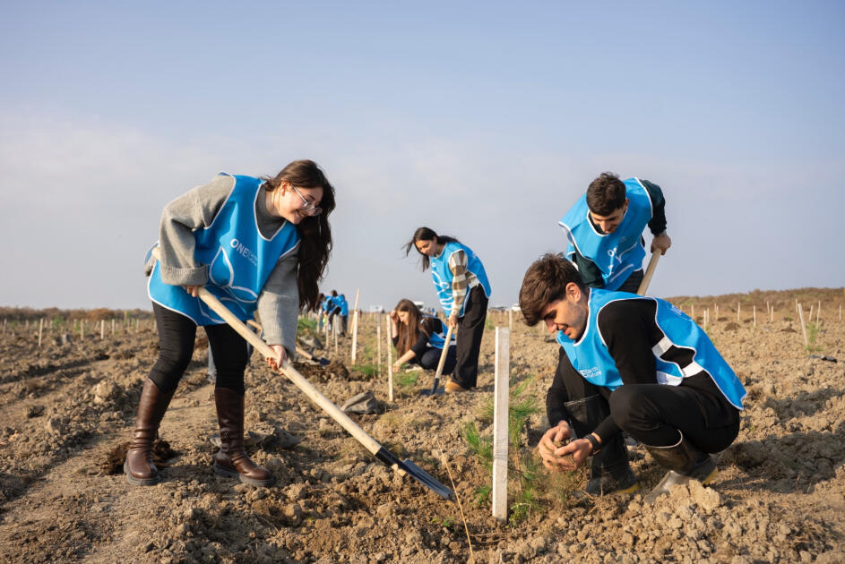 IDEA организовала очередные акции по посадке деревьев в Хачмазе и Шабране