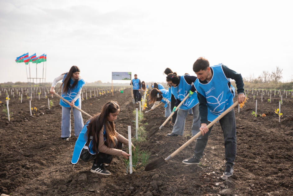 IDEA организовала очередные акции по посадке деревьев в Хачмазе и Шабране