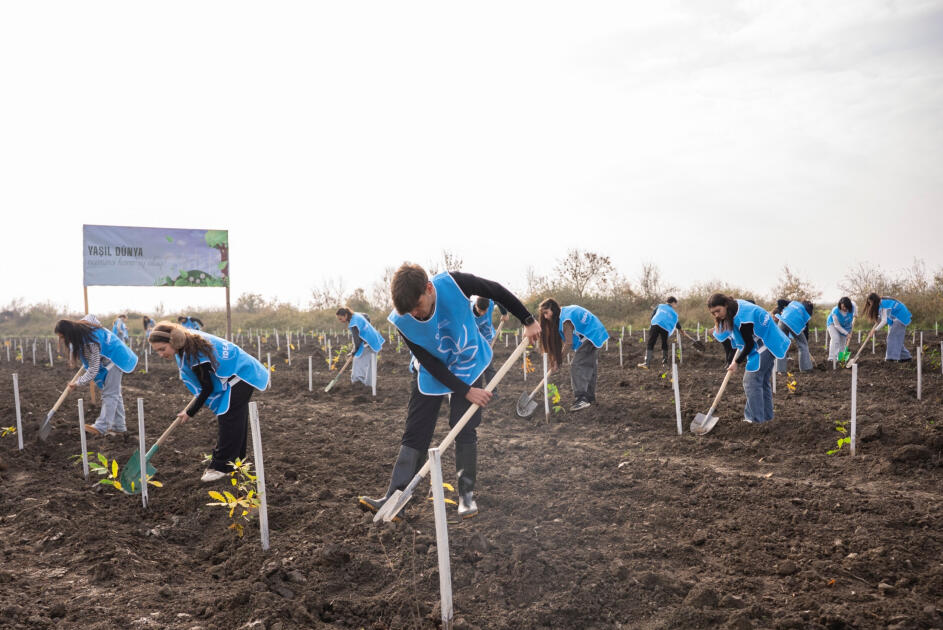 IDEA организовала очередные акции по посадке деревьев в Хачмазе и Шабране