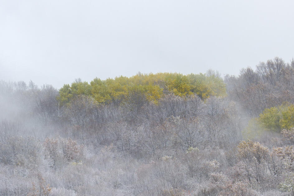 Волшебство двух сезонов в лесах Пиргули