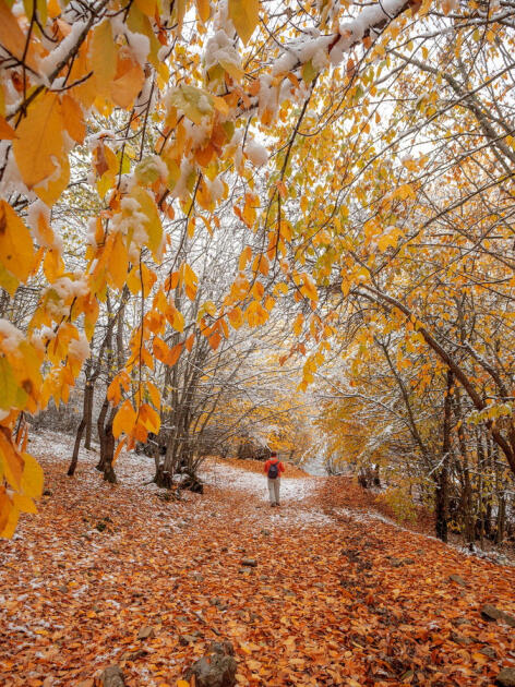Волшебство двух сезонов в лесах Пиргули