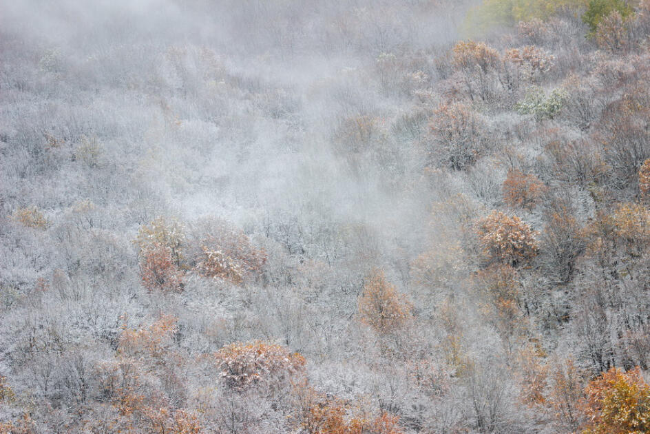 Волшебство двух сезонов в лесах Пиргули