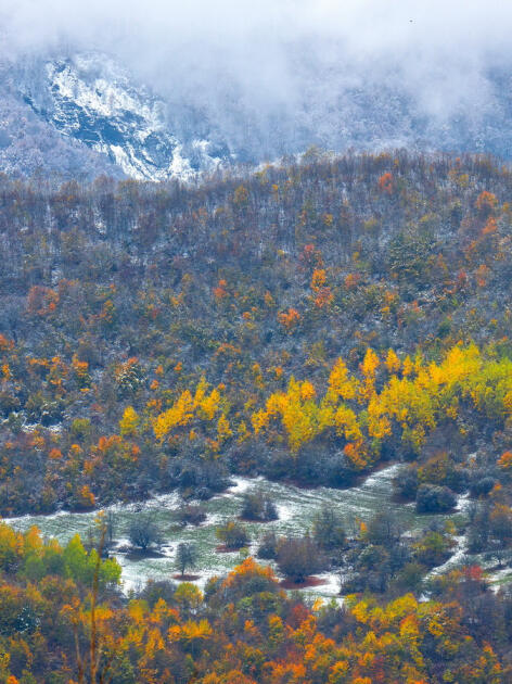 Волшебство двух сезонов в лесах Пиргули