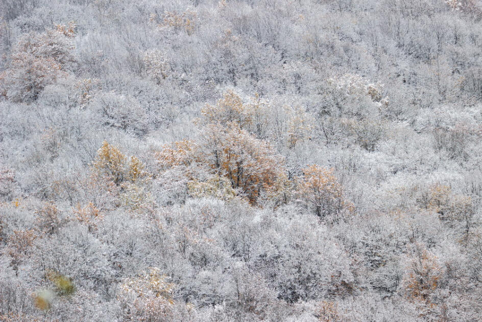 Волшебство двух сезонов в лесах Пиргули