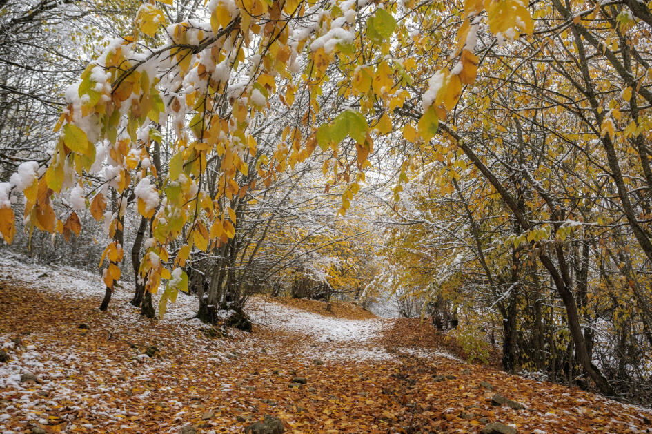Волшебство двух сезонов в лесах Пиргули