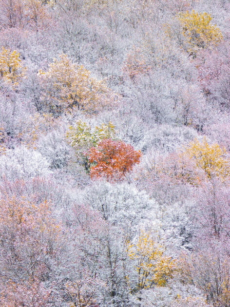 Волшебство двух сезонов в лесах Пиргули