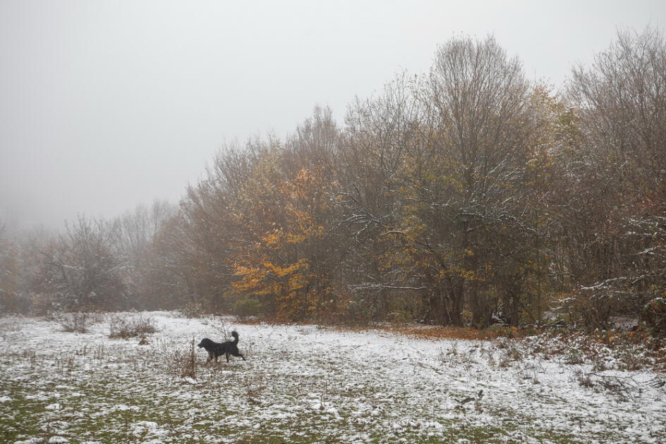 Волшебство двух сезонов в лесах Пиргули