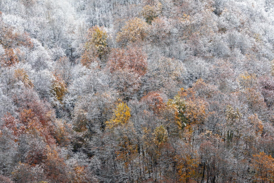Волшебство двух сезонов в лесах Пиргули