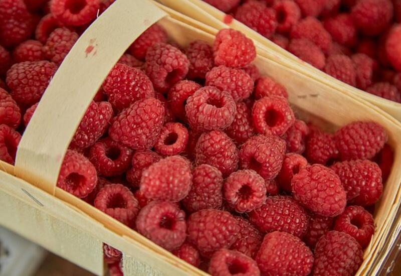 Популярная ягода оказалась защитником сосудов от воспаления