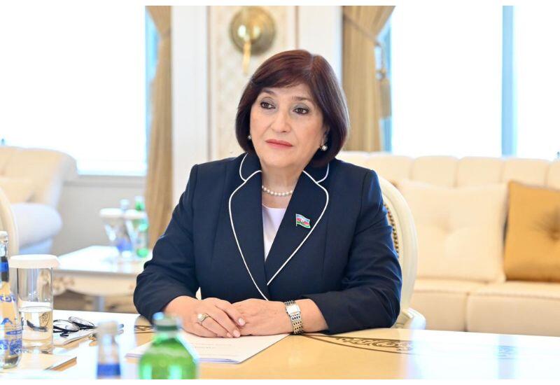 Milli Məclisin sədri Sahibə Qafarova seçicilərin növbəti qəbulunu keçirib