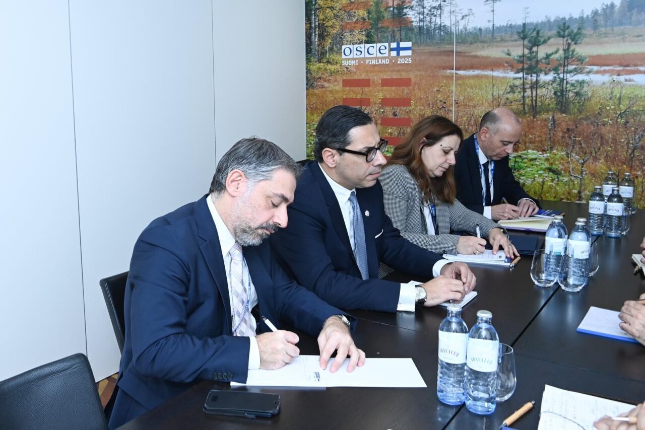 Азербайджан и Кипр обсудили планы председательства Никосии в Совете ЕС