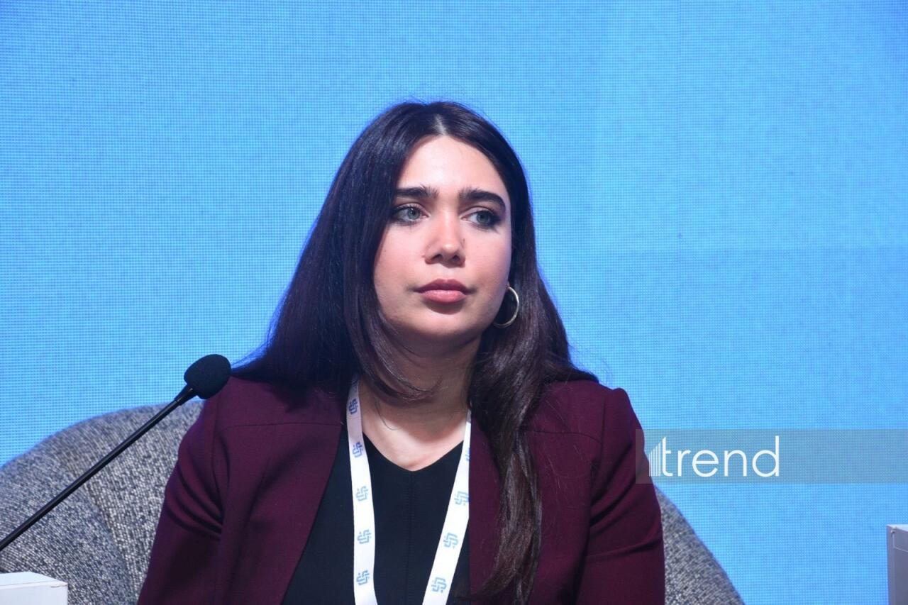 В Баку состоялся Азербайджано-Грузинский медиафорум