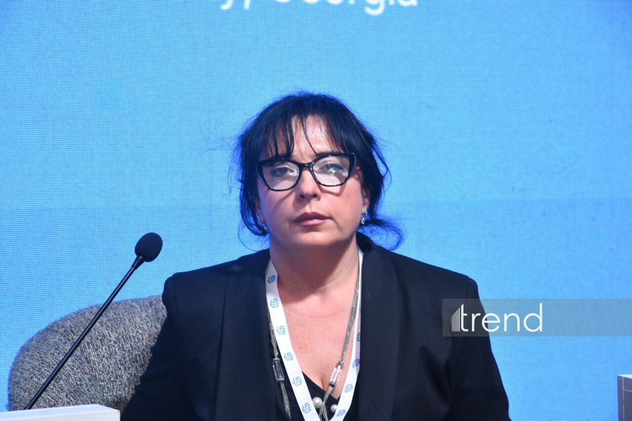 В Баку состоялся Азербайджано-Грузинский медиафорум