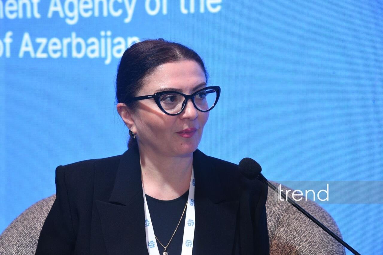 В Баку состоялся Азербайджано-Грузинский медиафорум