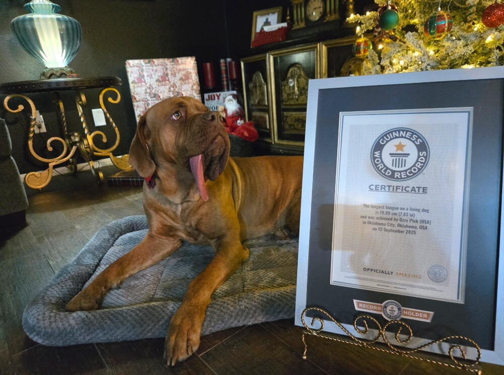 Новая звезда Книги рекордов Гиннесса