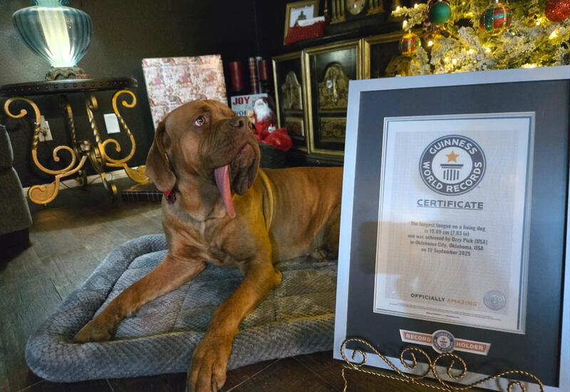 Новая звезда Книги рекордов Гиннесса