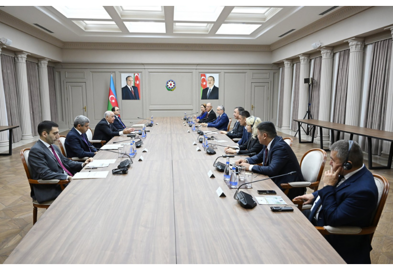 Али Асадов обсудил с министрами труда стран-членов ОТГ сотрудничество в сфере занятости и соцзащиты